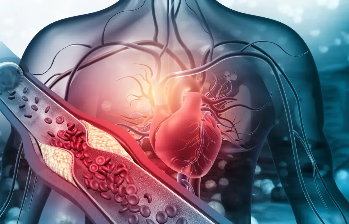 Does high blood pressure cause tinnitus? An in-depth look