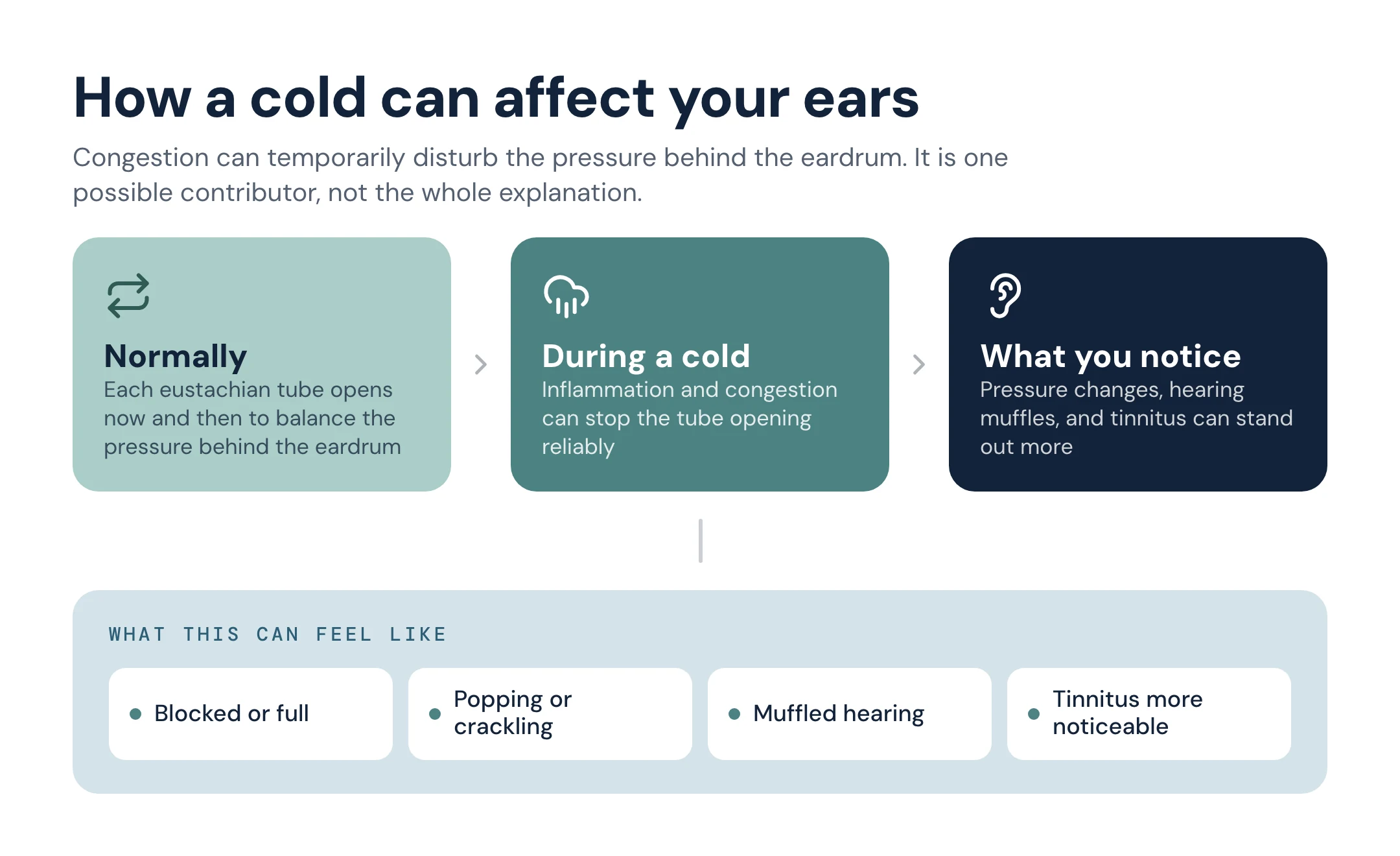 Diagram in three steps: normally each eustachian tube opens now and then to balance the pressure behind the eardrum; during a cold inflammation and congestion can stop it opening reliably; and what you notice is pressure changes, muffled hearing and tinnitus standing out more.